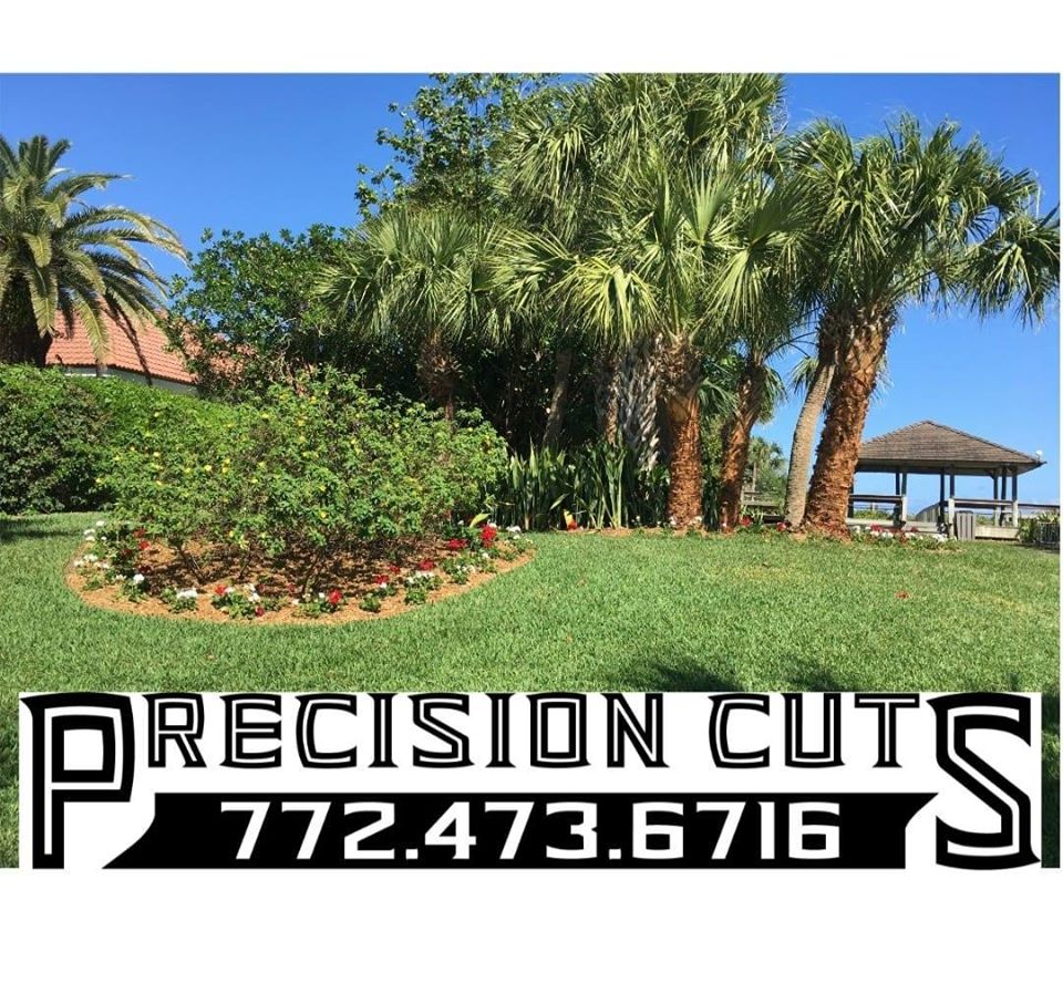 Precision Cuts service Lawn and Landscaping