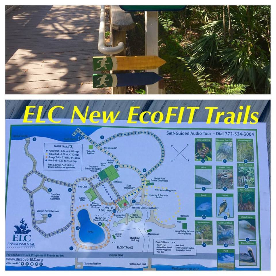 Eco Fit Trails at ELC
