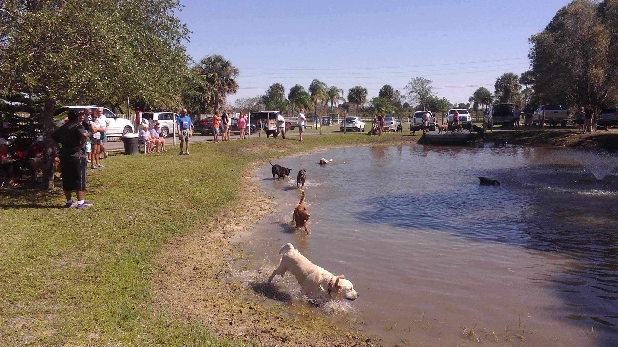 Pond Party at Pawprints