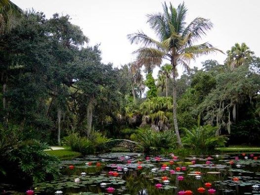 Discover Trip to McKee Botanical Gardens