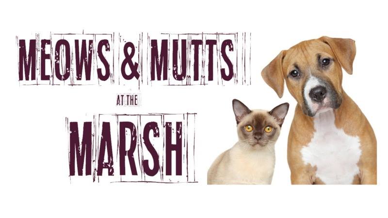 Meows & Mutts at the Marsh