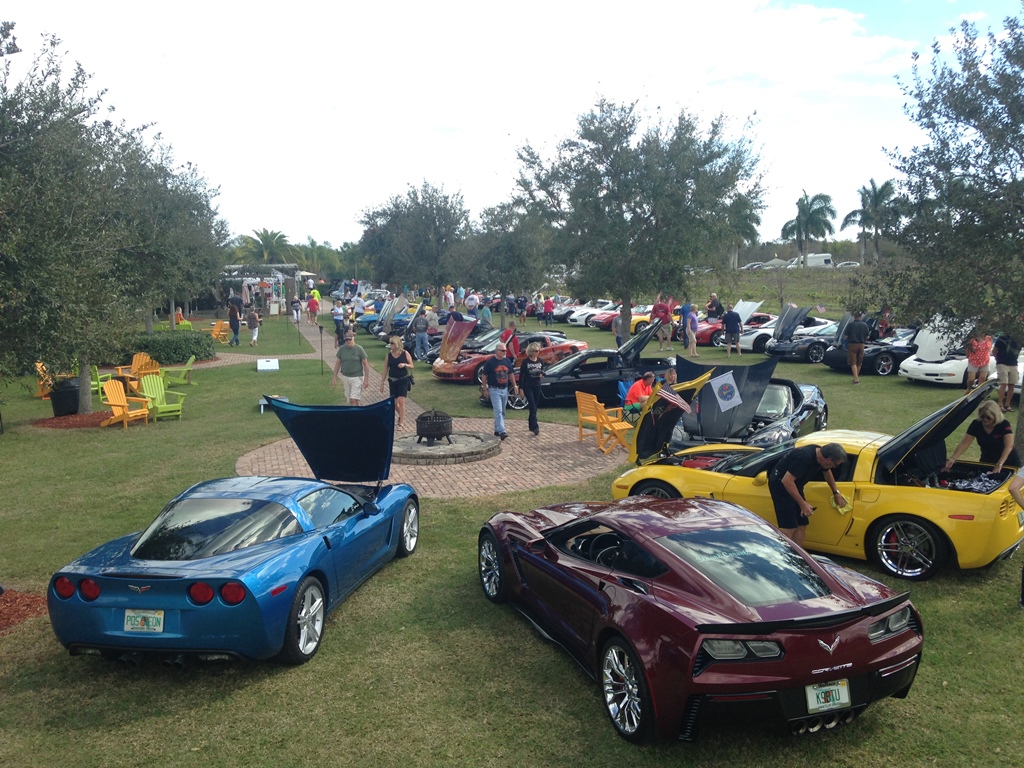 Vettes in the Vines and Collins & Company Band