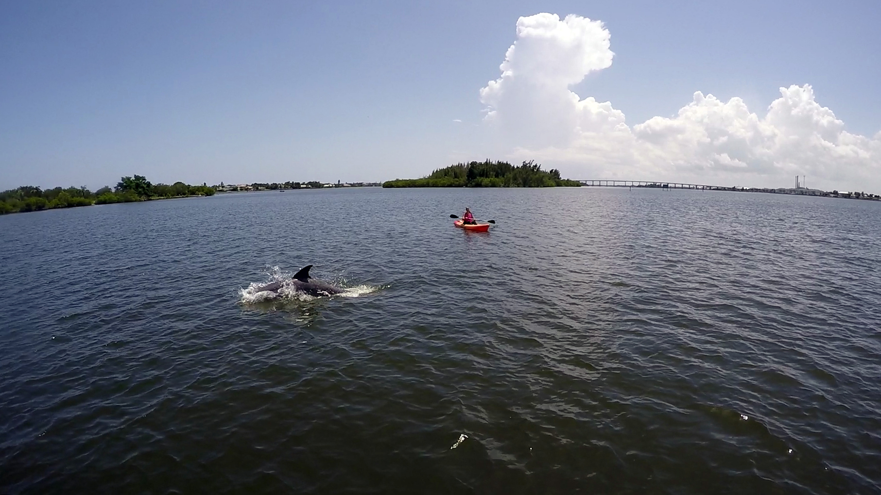 Paddle Board and Kayak Tour of Vero Beach