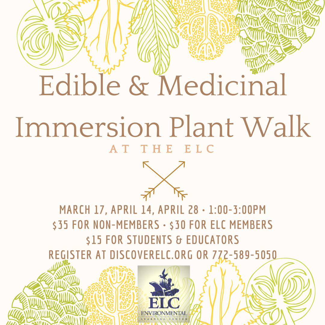 Edible & Medicinal Immersion Plant Walk