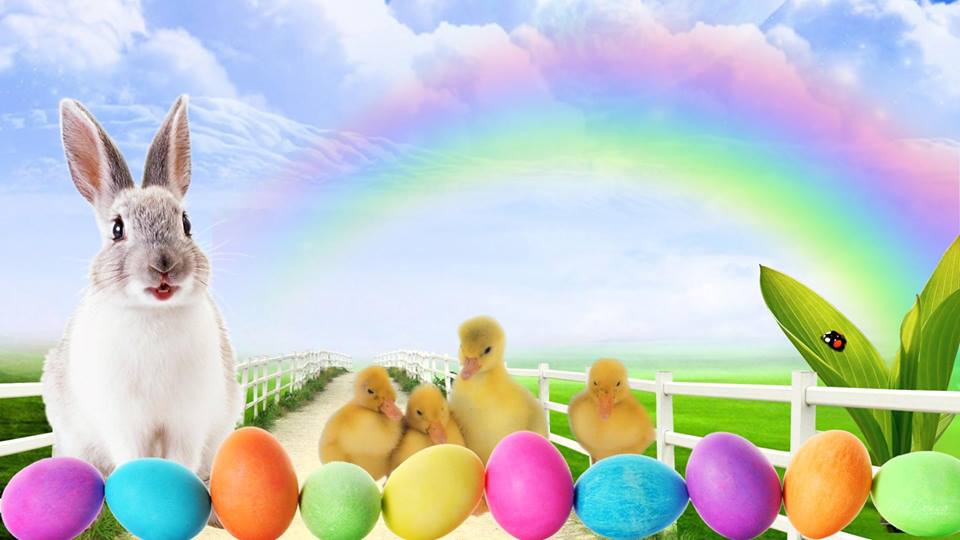 Water Egg Hunt – Easter “Egg” Stravaganza