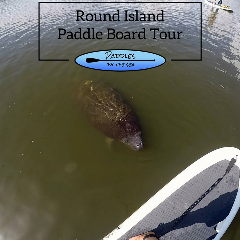 Paddle Board Tour Round Island