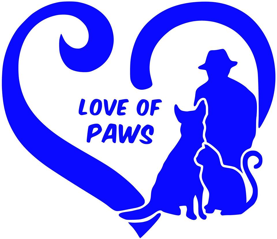 Paddle For A Cause: For The Love of Paws