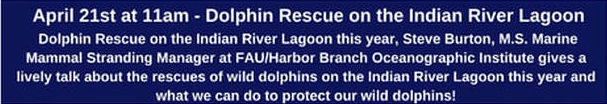 ELC EcoTALKS Speaker Series: Dolphin Rescue on the Indian River Lagoon This Year 2