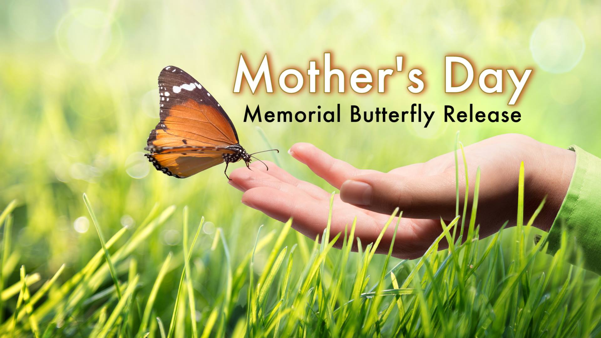 Mother's Day Memorial Butterfly Release