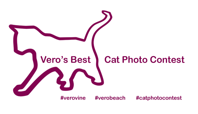 Vero's Best Cat Photo Contest