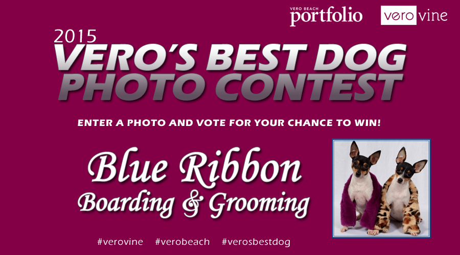 Vero's Best Dog Photo Contest of 2015