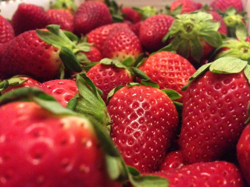 Strawberry U-Pick - Hornbuckle Family Farms