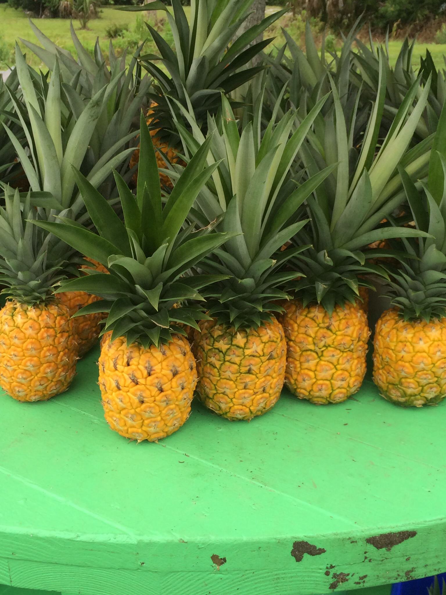 Local Pineapples