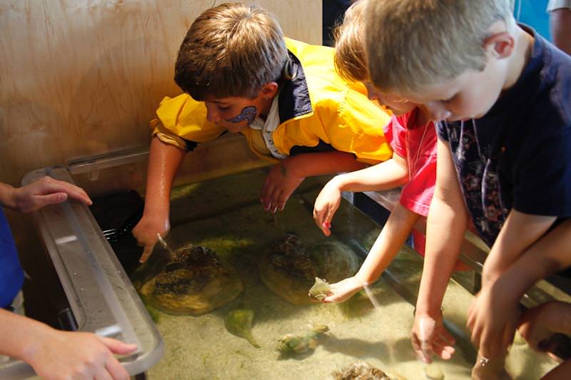 Touch Tank Encounter 