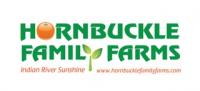 Strawberry U-Pick - Hornbuckle Family Farms 2