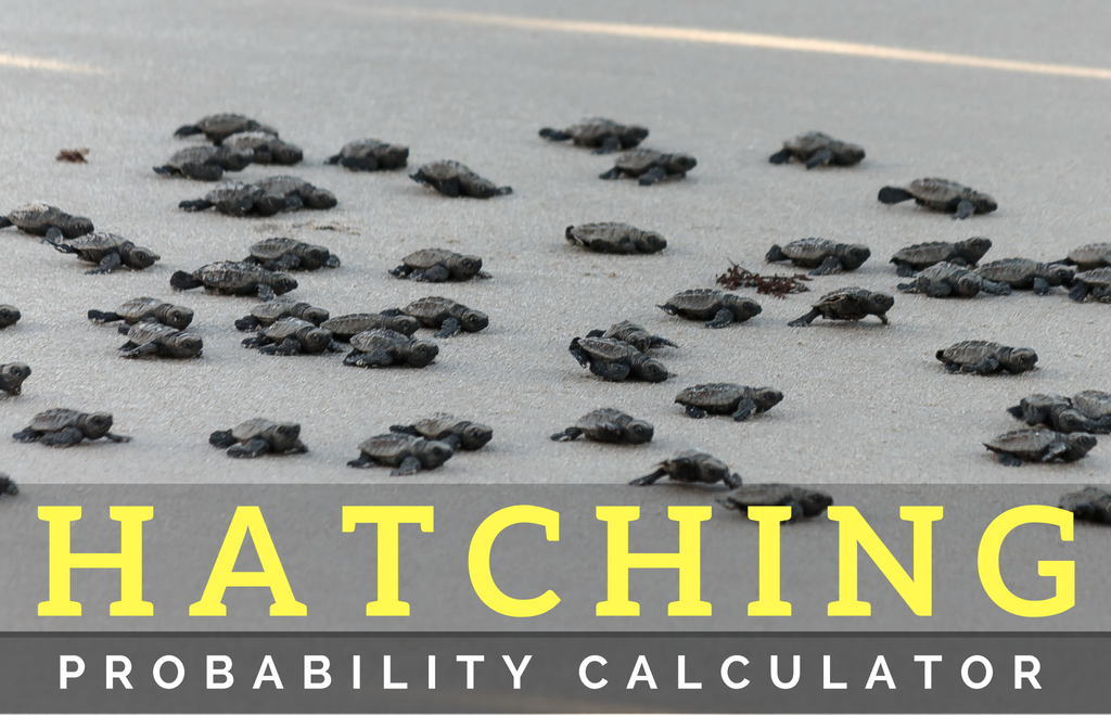 Vero Beach Turtle Hatching Probability Calculator
