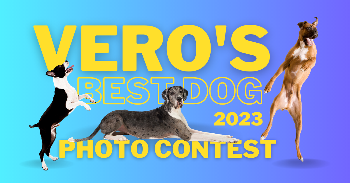 Vero's Best Dog Photo Contest 2023