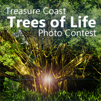 Treasure Coast Trees of Life Photo Contest
