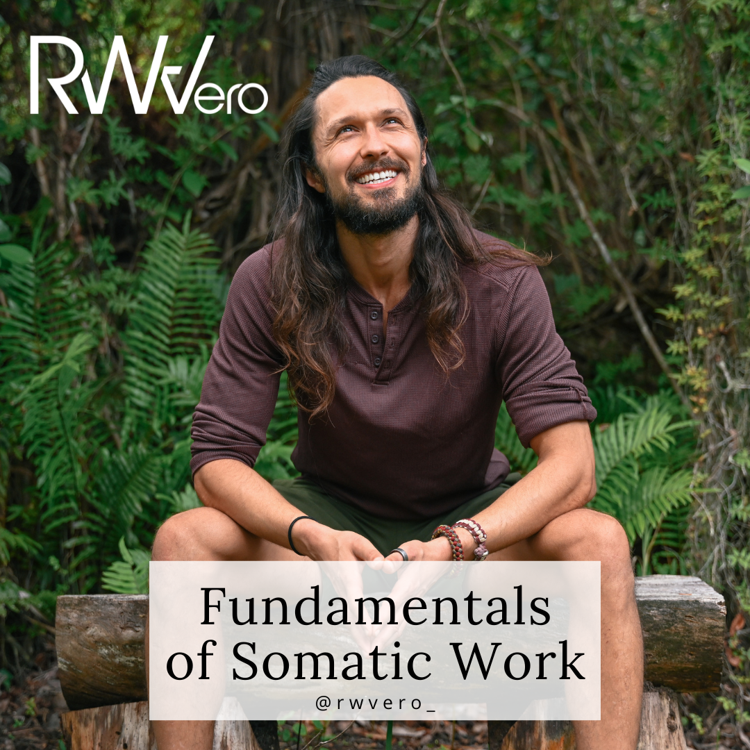 Fundamentals of Somatic Work - Vero Vine