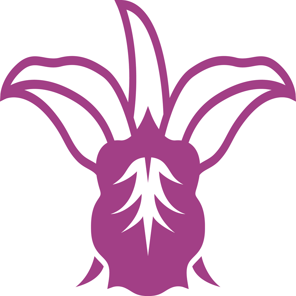 Orchid Island Roofing