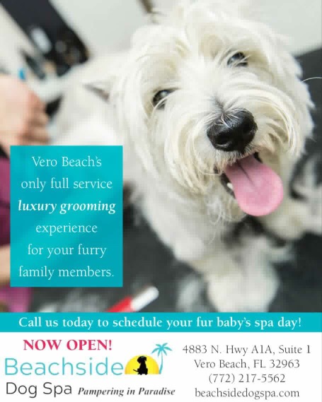 Beachside Dog Spa