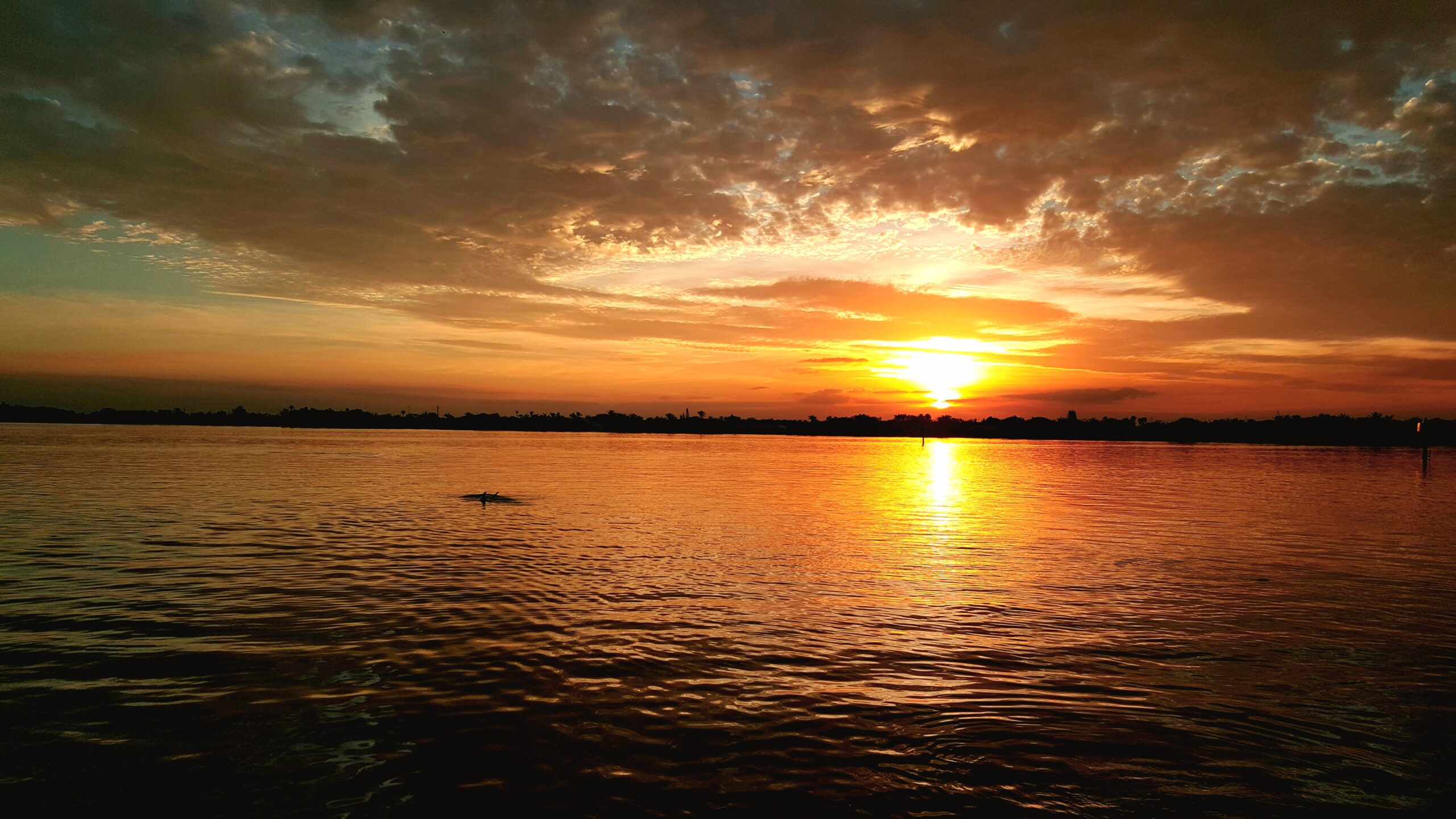 Treasure Coast Cruises and Guide Service