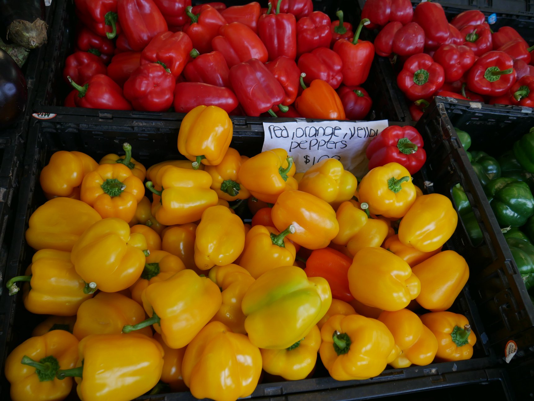 Featured image for “Young’s Market”