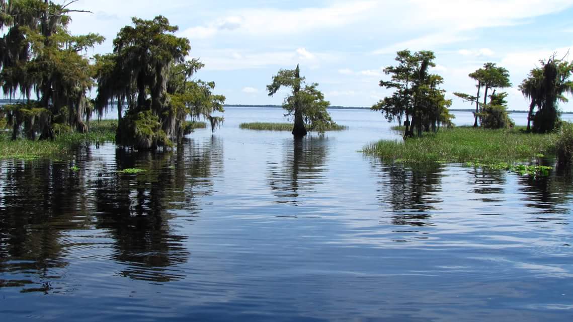 Featured image for “Blue Cypress Lake Tours”