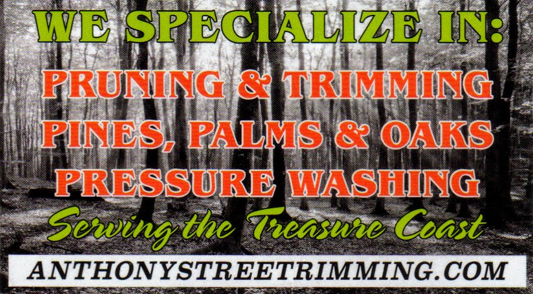 Featured image for “Anthony’s Tree Service”