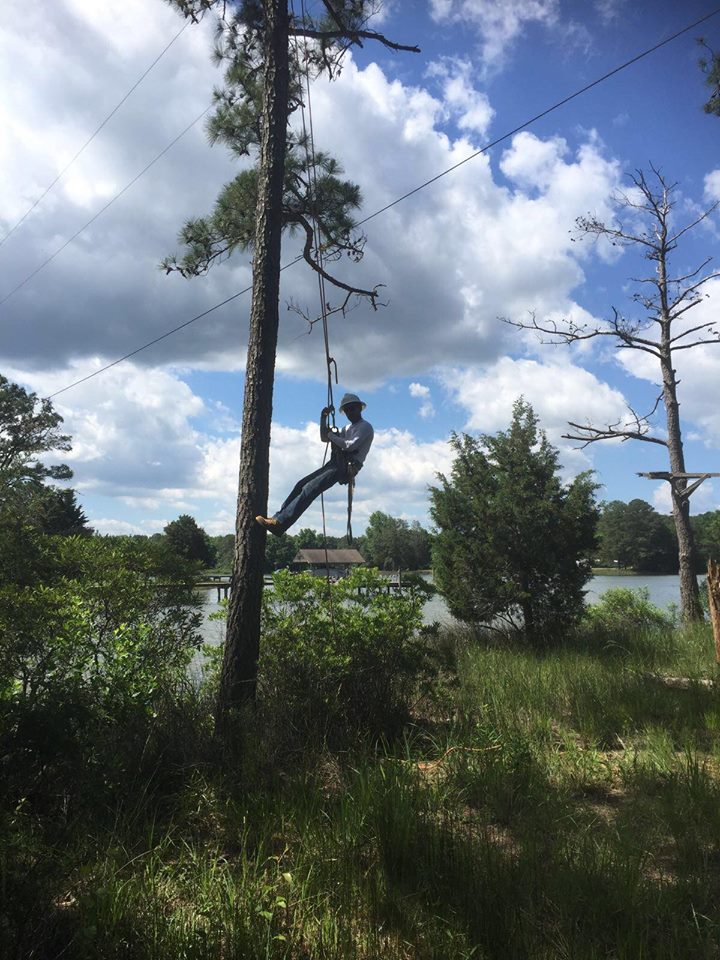 Anthony’s Tree Service