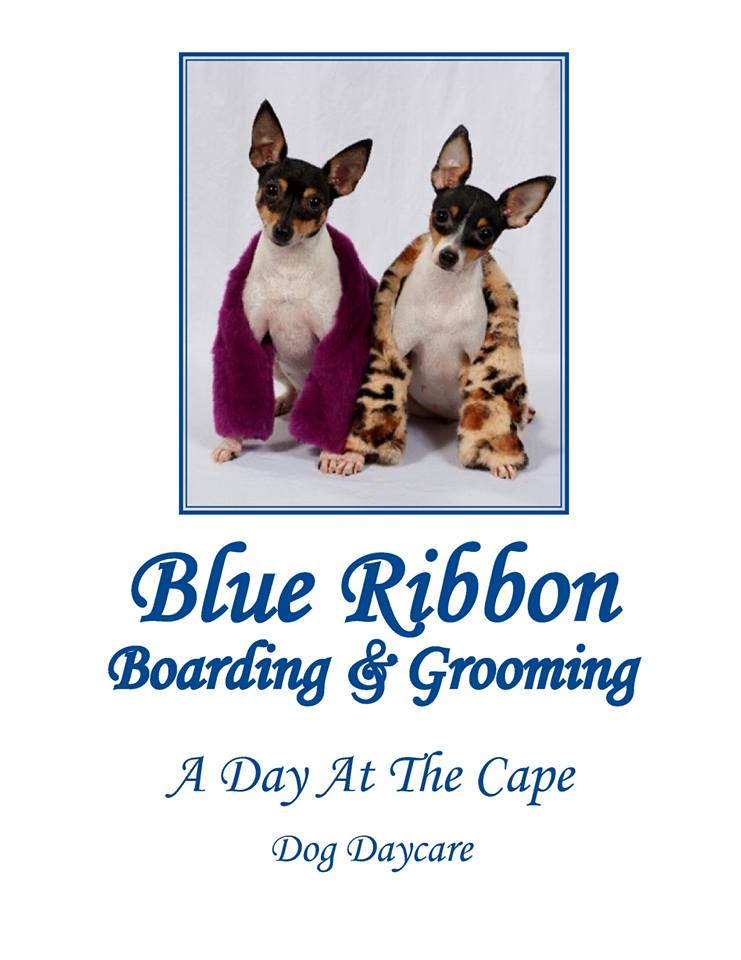 Featured image for “Blue Ribbon Pet Grooming”