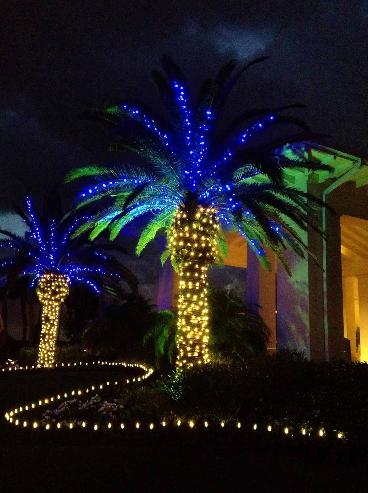 Featured image for “Elite Holiday Decor”