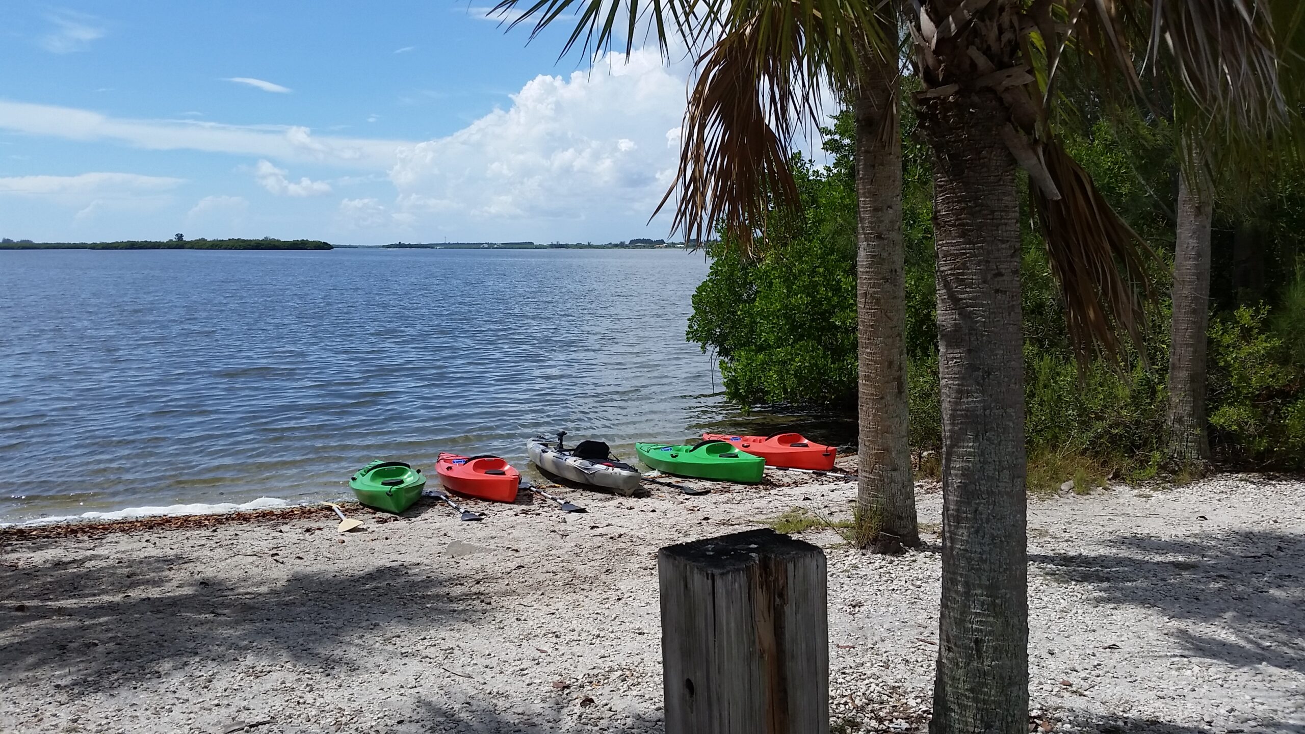 Featured image for “AHOY KAYAKING”