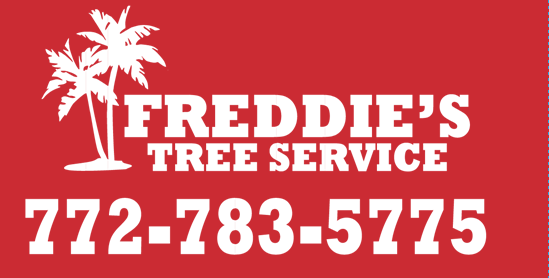 Featured image for “Freddie’s Tree Service”