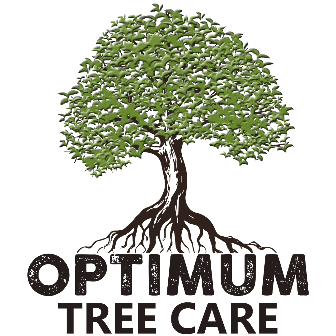 Optimum Tree Care