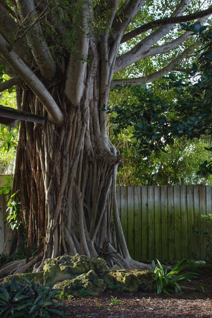 Heathcote Botanical Gardens