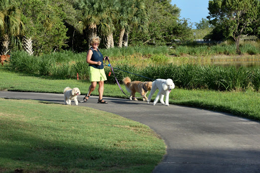 Featured image for “Pet Sitter Plus, LLC”