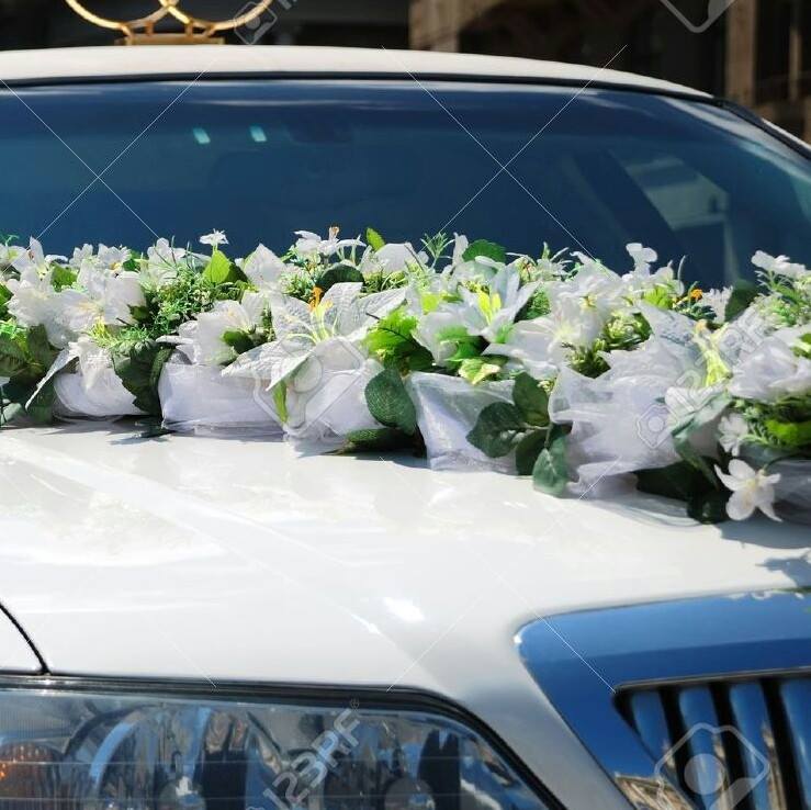 Pirate Limousine