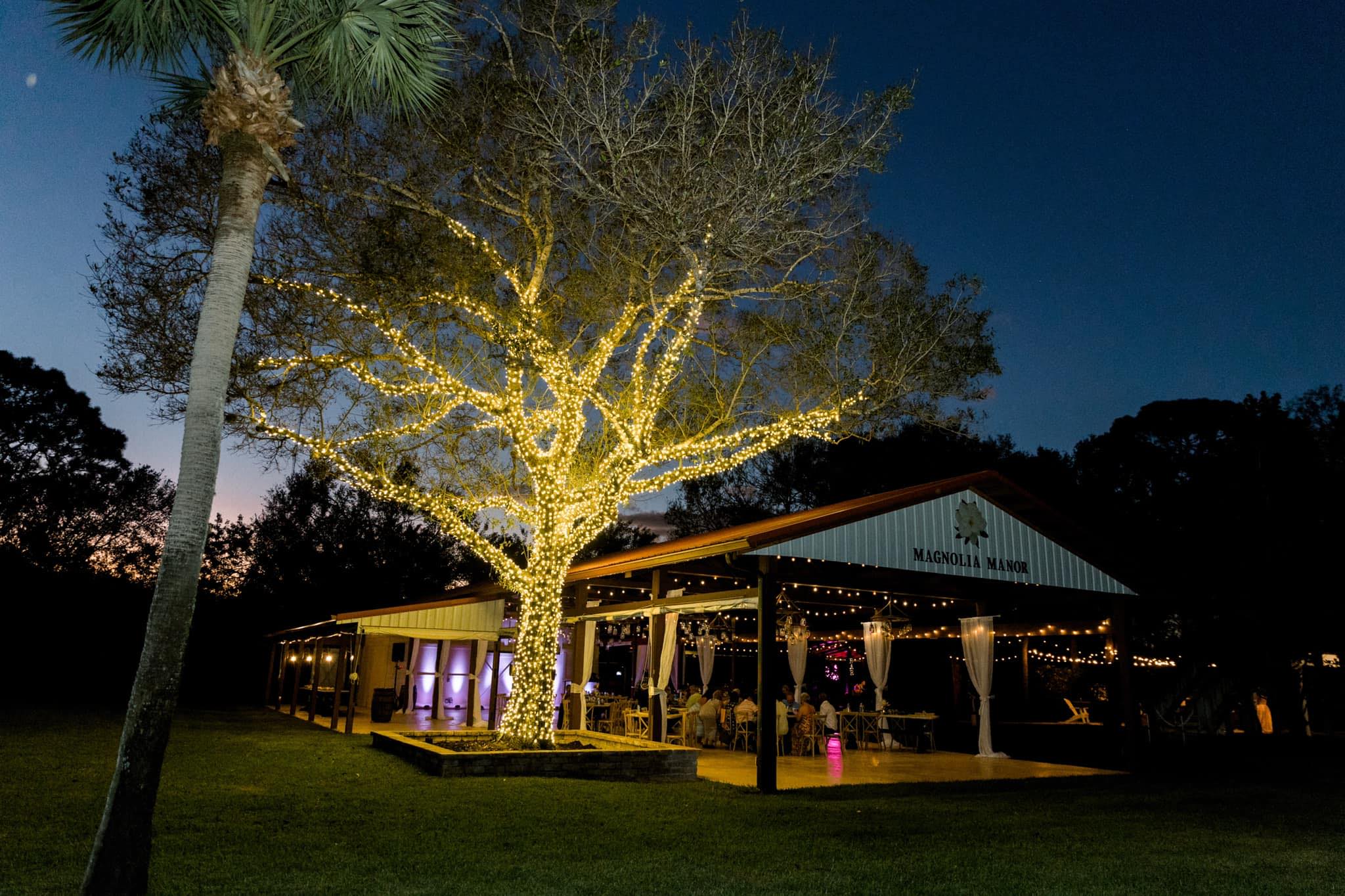 Featured image for “Magnolia Manor”