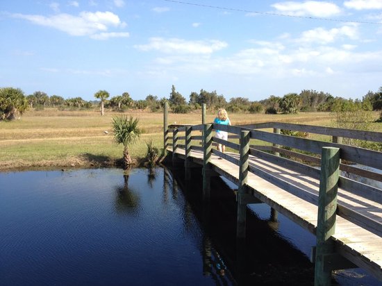 Featured image for “Savannas Recreation Area”