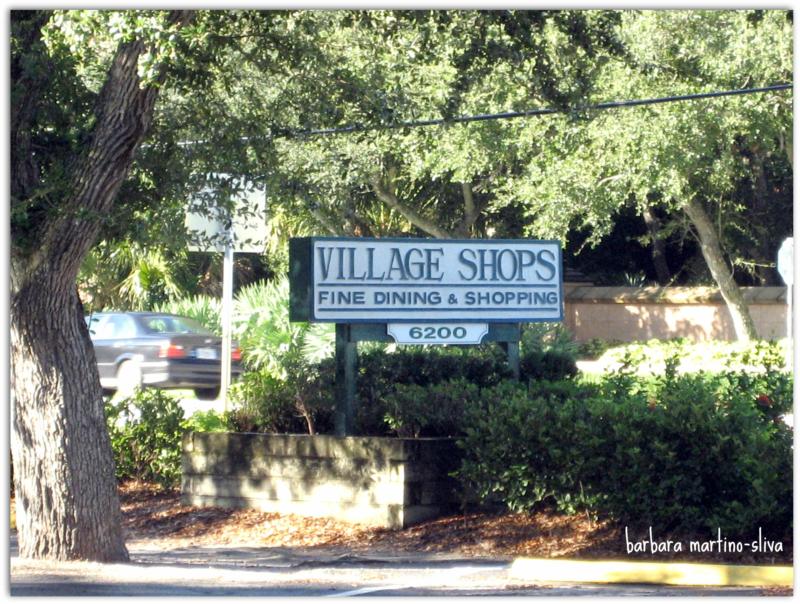 Featured image for “The Village Shops”