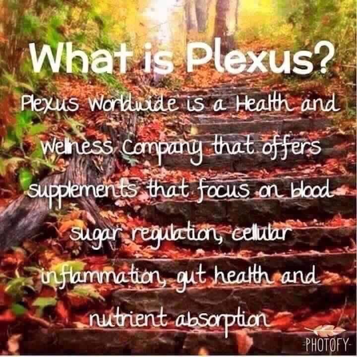 Featured image for “Plexus Worldwide”