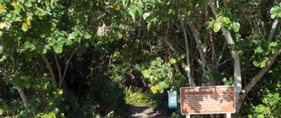 Fort Pierce Inlet State Park