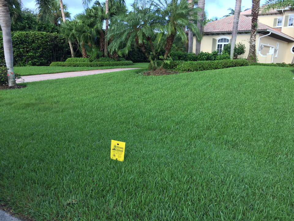 Featured image for “Green Island Lawn & Pest”