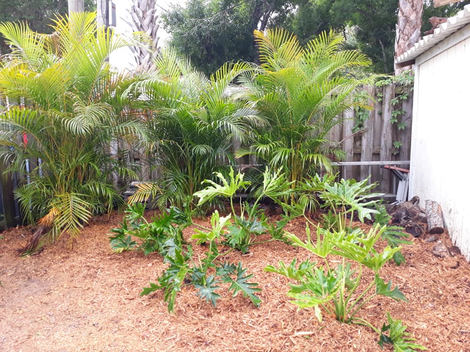 Featured image for “Sunshine Garden Lawn & Landscaping Services LLC”