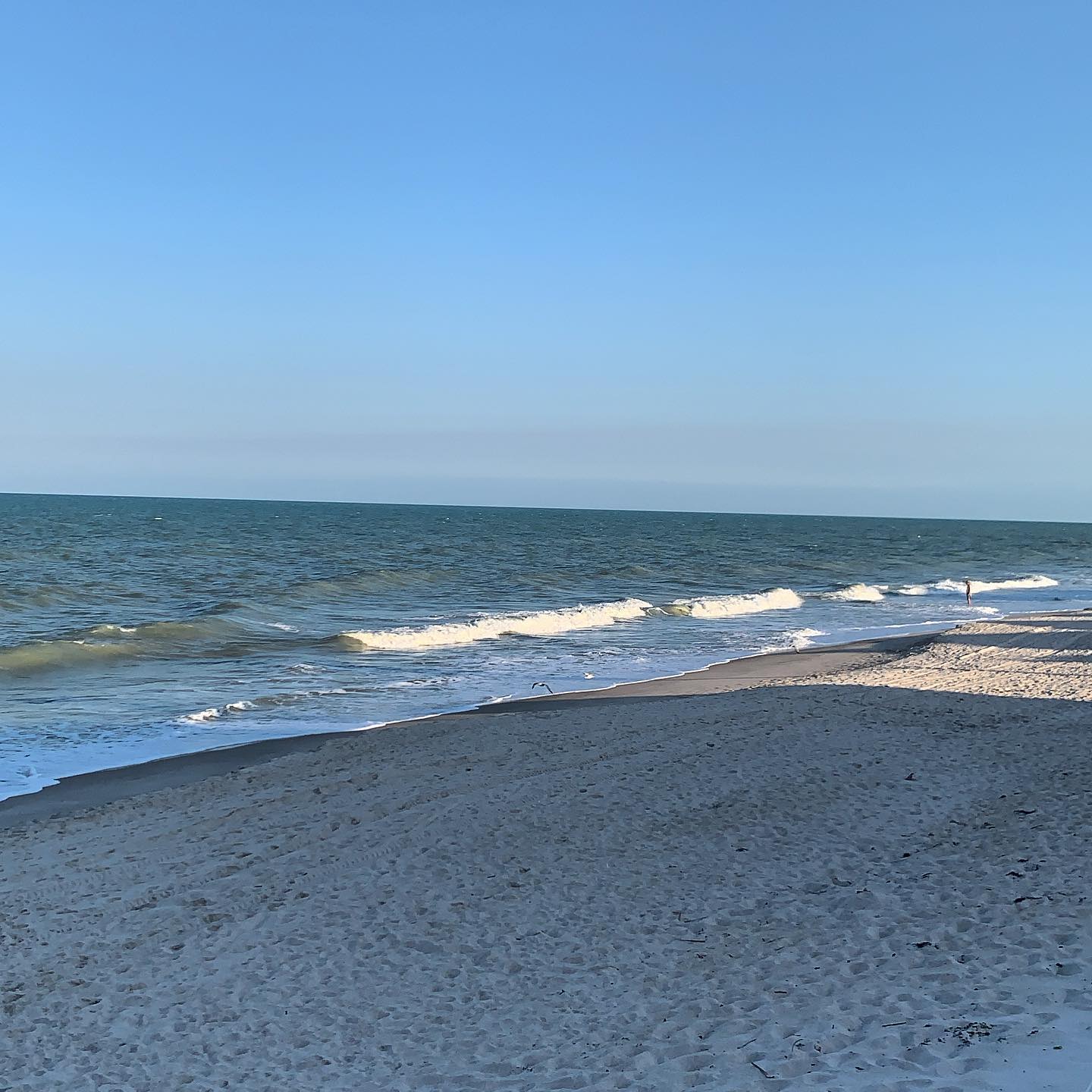 Featured image for “Chelsea’s Surf Shack”