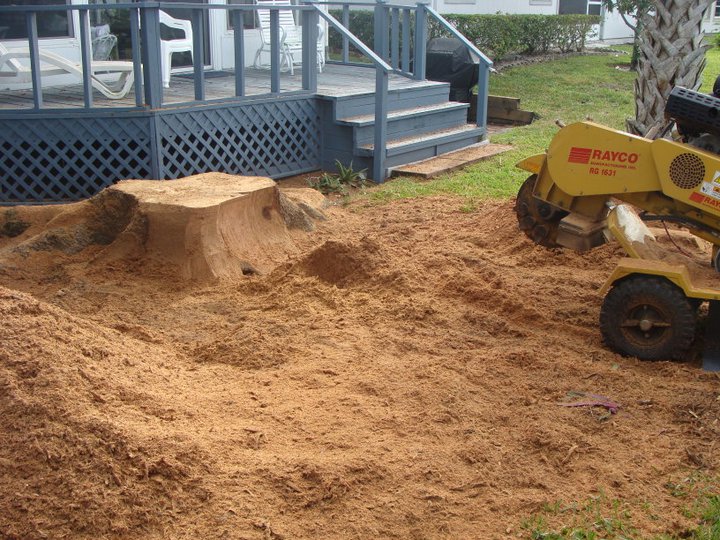 Featured image for “Chaves Environmental Management”