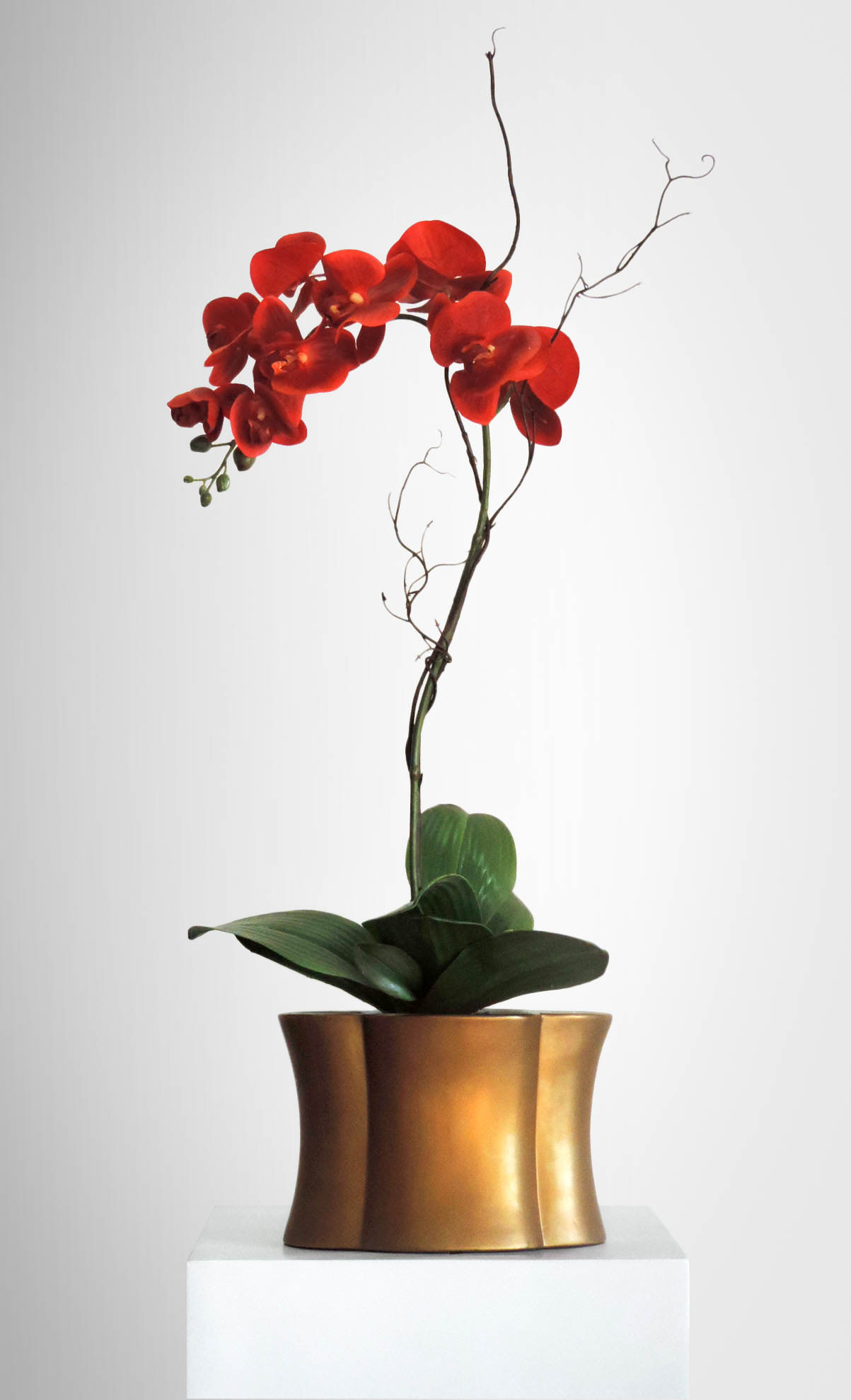 Featured image for “Decor Accents”