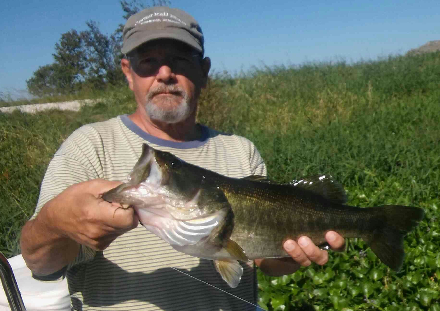 Stick Marsh Bait Bucket