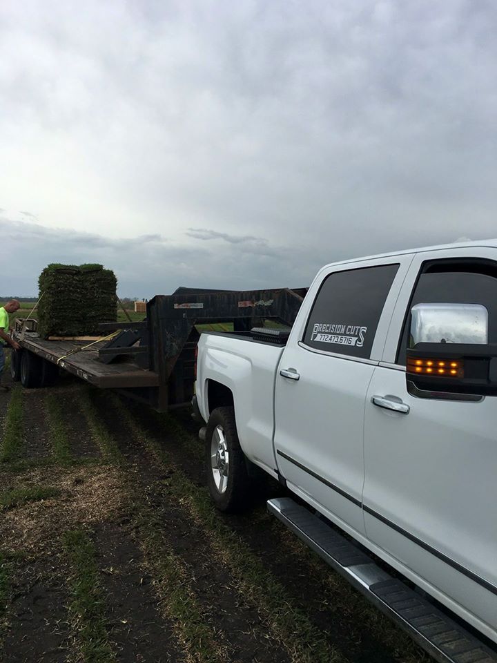 Featured image for “Precision Cuts service Lawn and Landscaping”